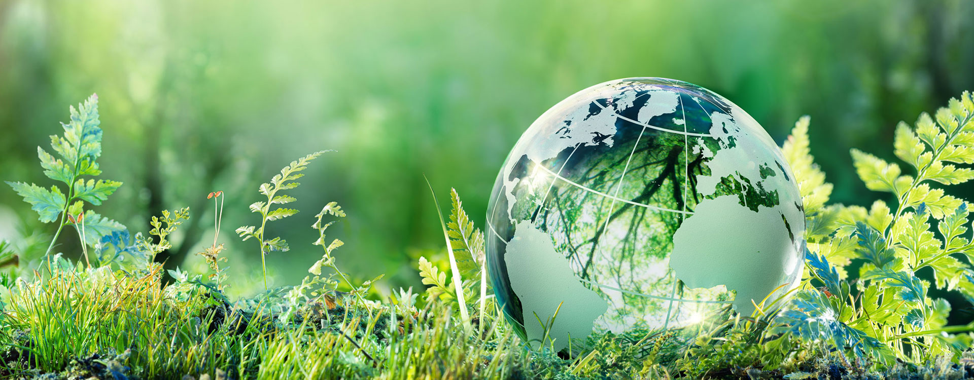 FUJISTAR 연마제의 불안정성