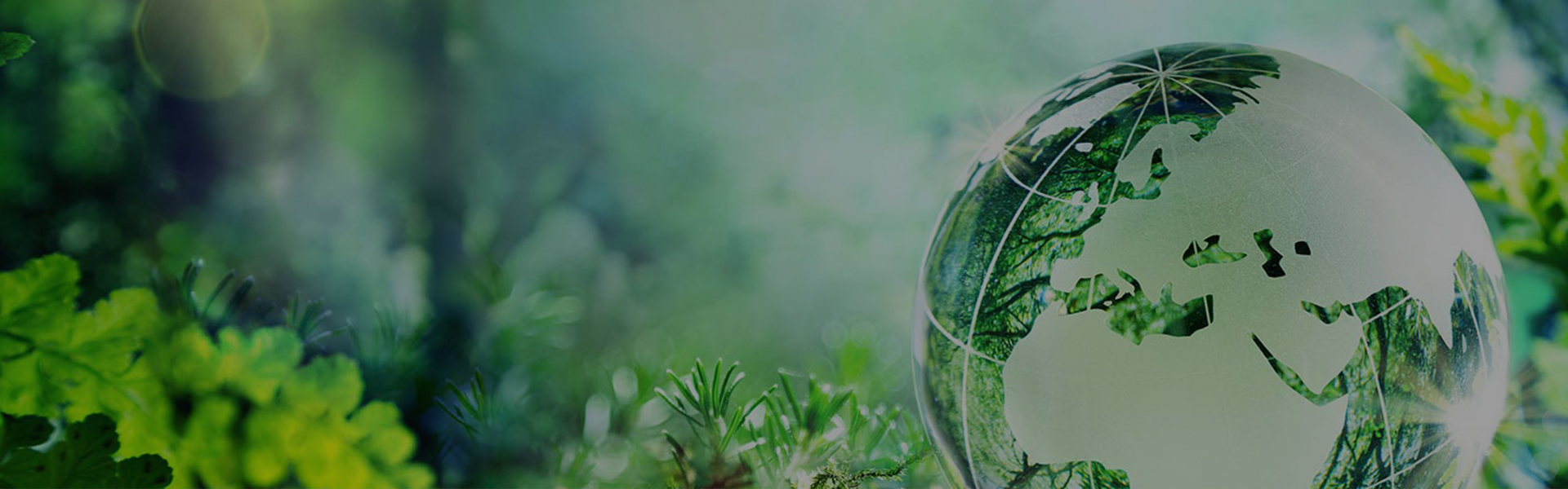 FUJISTAR 연마제의 지속 가능성